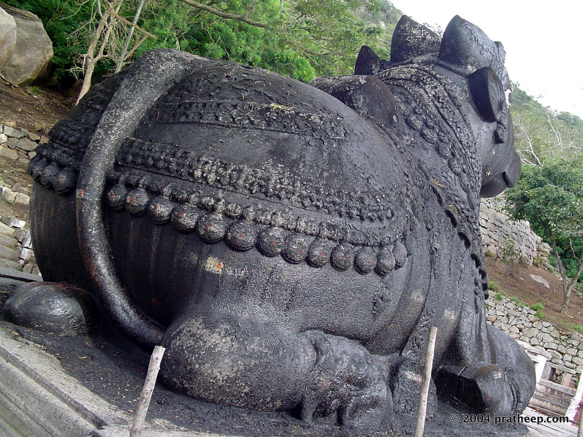 At least 350 years old, this 4.9m tall and 7.6m long Nandi is carved out of a single boulder is the 5th largest monolithic Nandi in the country. Located midway on the Chamundi Hill.
