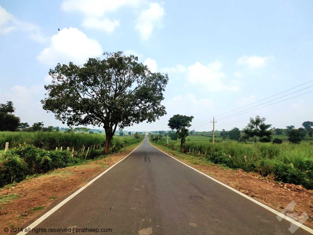 Road towards Wayanad from Kabini / Nagarhole 
