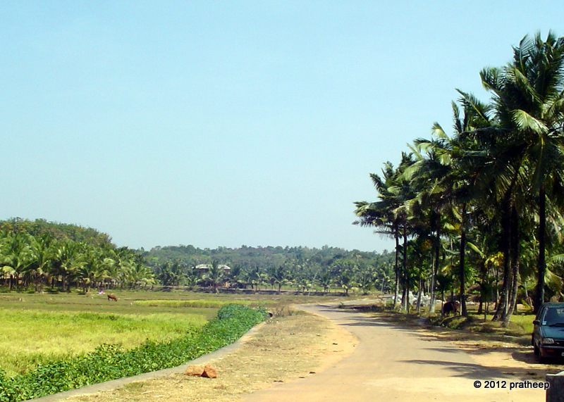 Road to Kottukkal