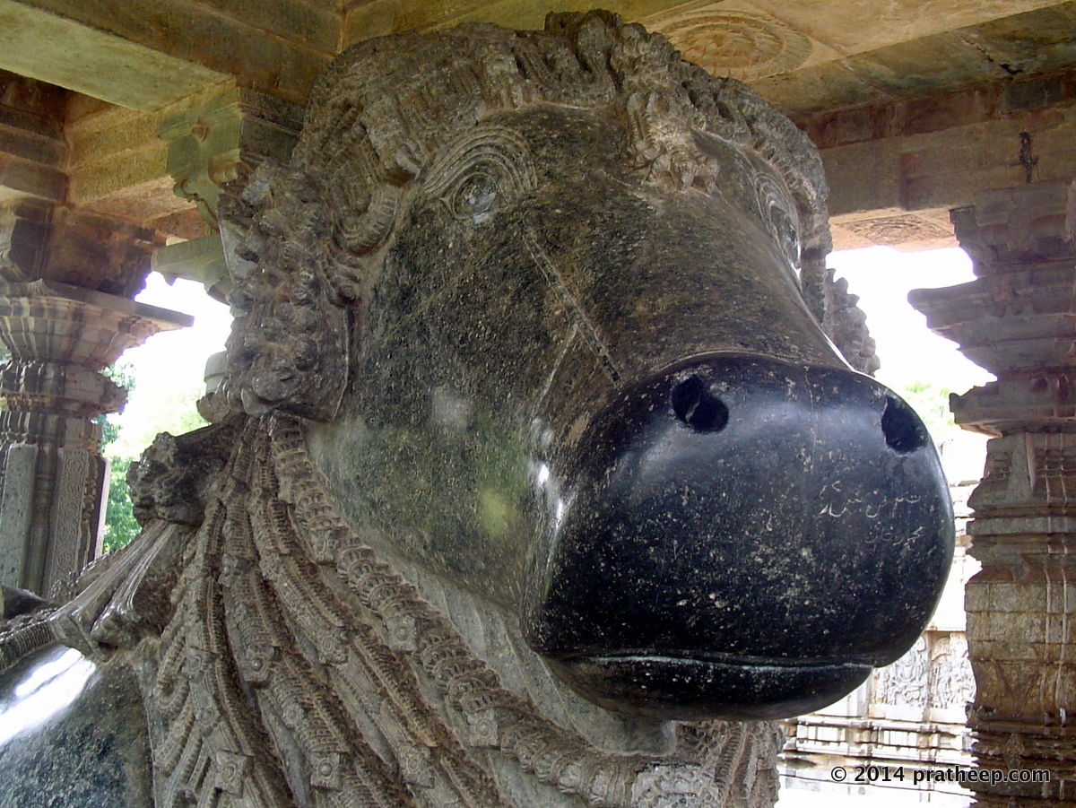 Carved in soapstone, this is installed @ the pavilion facing the main shrine, Halebeedu.