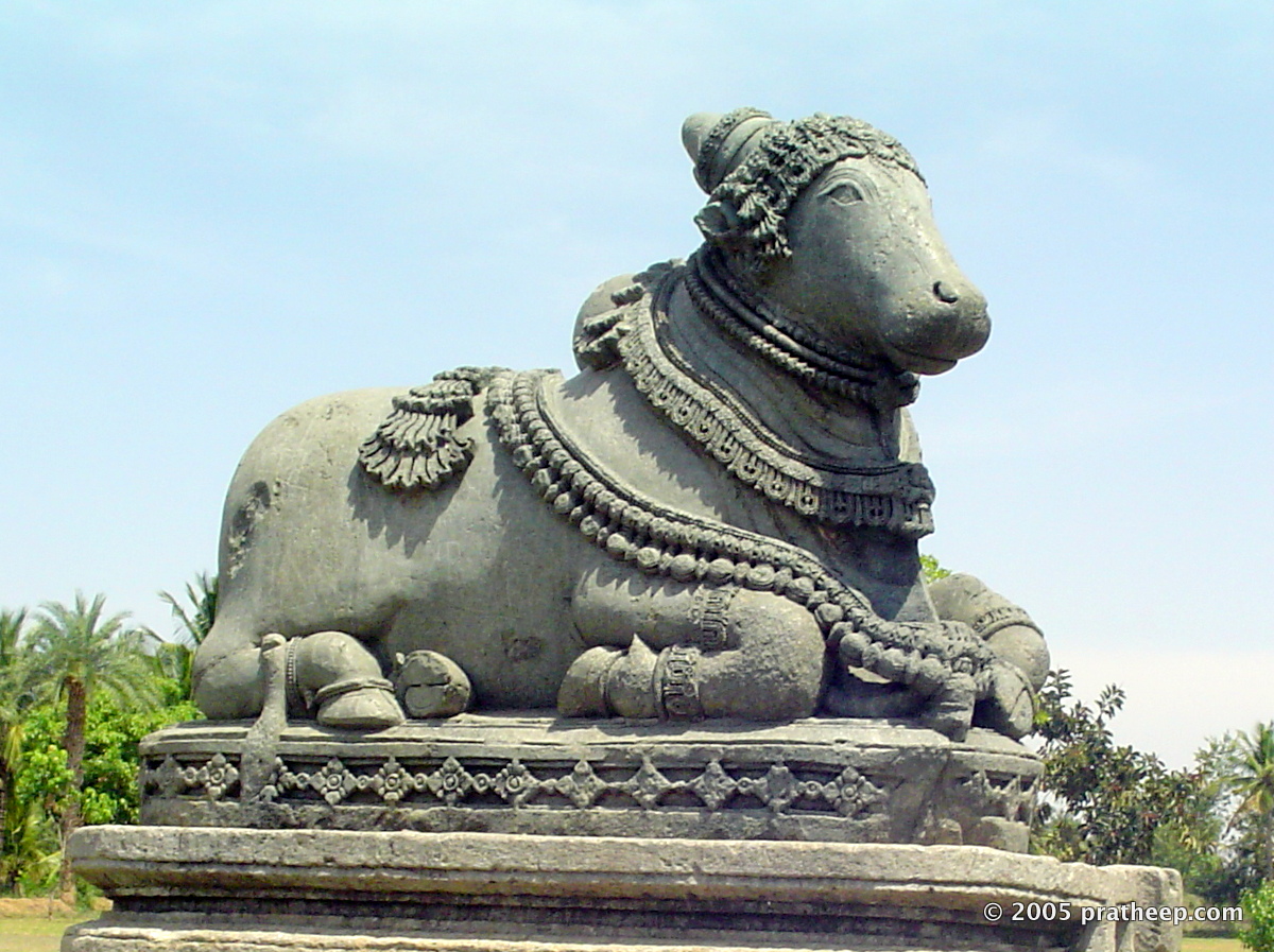 Brought from elsewhere, this is located in the garden at Halebeedu, Karnataka