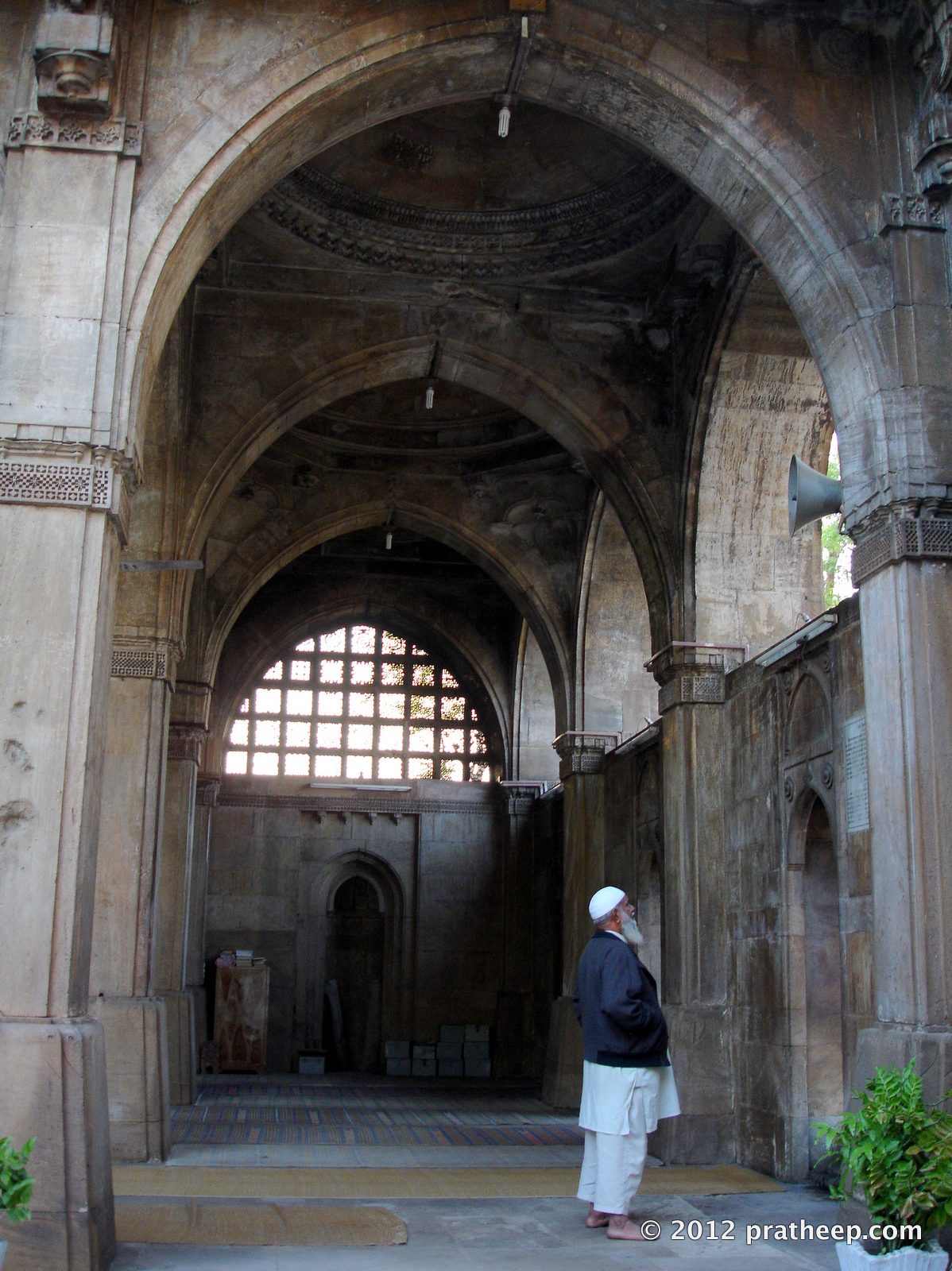 The mosque is entirely arcuated and is famous for beautifully carved ten stone latticework windows (jalis) on the side and rear arches. The rear wall is filled with square stone pierced panels in geometrical designs. The two bays flanking the central aisle have reticulated stone slabs carved in designs of intertwined trees and foliage and a palm motif. 