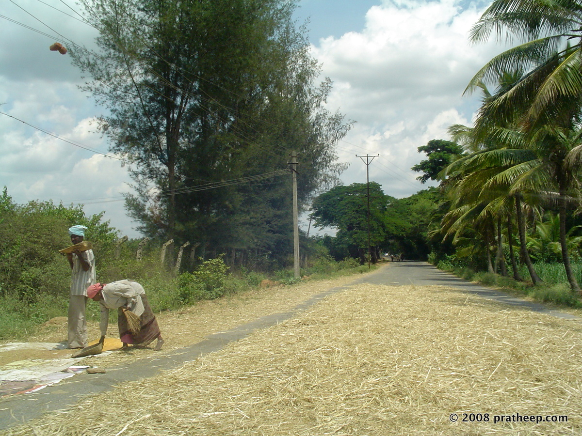 A very typical village scene. The vehicle traffic over the hay helps to seperate the corn. By evening they remove the hay and sweep the corn that lies beneath it on the road. Cool! 