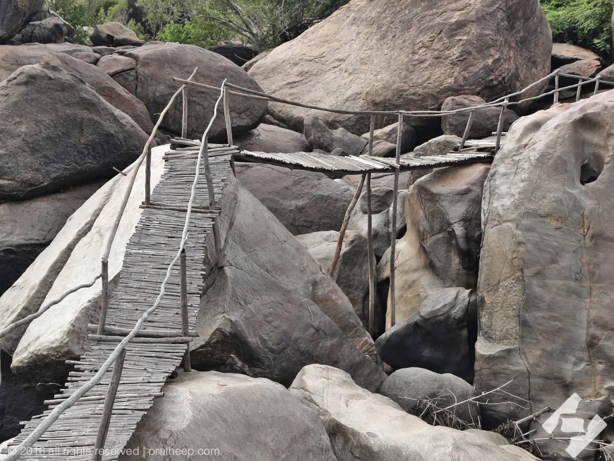 These makeshift bamboo bridges get washed away during the monsoons 