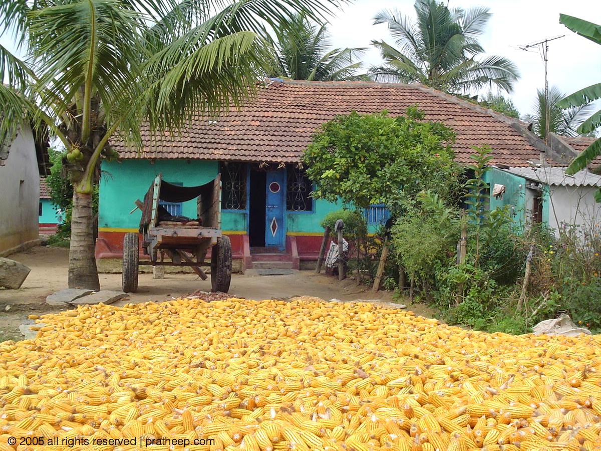 A typical small farmer's house in Karnataka 