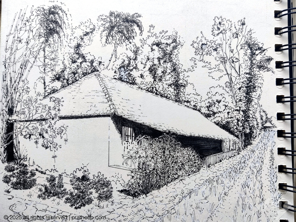 The attempt was to practice foliage , perspective and contrast. Drawn with Artline 0.5,0.2 