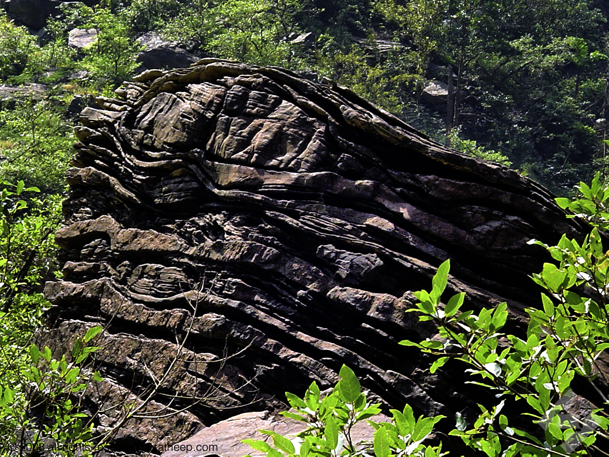 Metamorphosed sedimentary rocks at Jog Falls